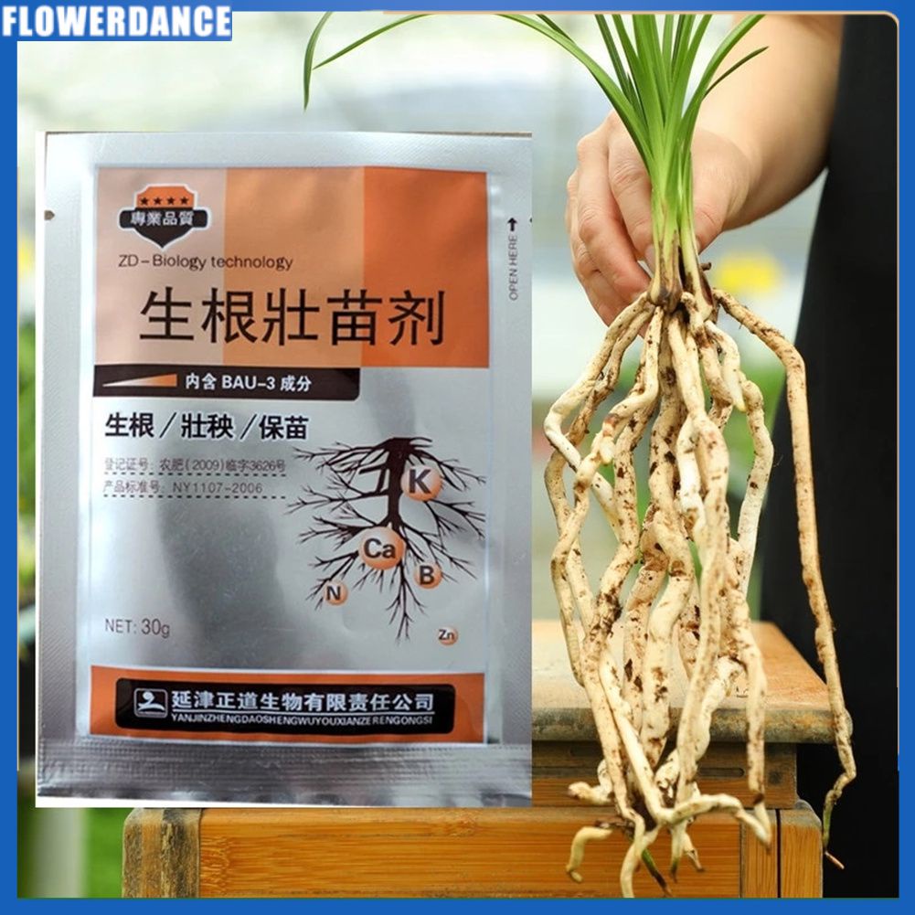 1 Gói Thuốc Điều Chỉnh Hormone Rễ Tăng Trưởng Nhanh Bột Ra Rễ Trong Vườn Tăng Trưởng Nhanh Cho Cây Trồng Hạt Giống Hoa Phân Bón Flowerdance