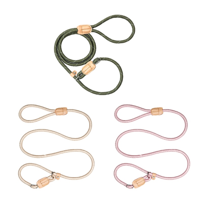 Dây Dắt Thú Cưng Đi Dạo 5.6ft Tiện Dụng