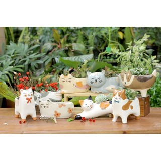Chậu trồng cây hình Mèo - Tết Quý Mão