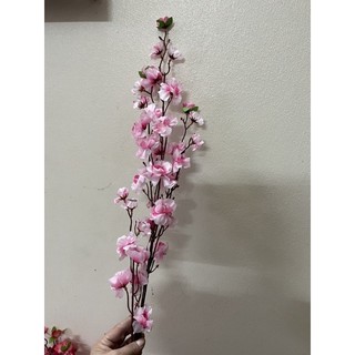 Hoa a đào rẻ thanh lý
