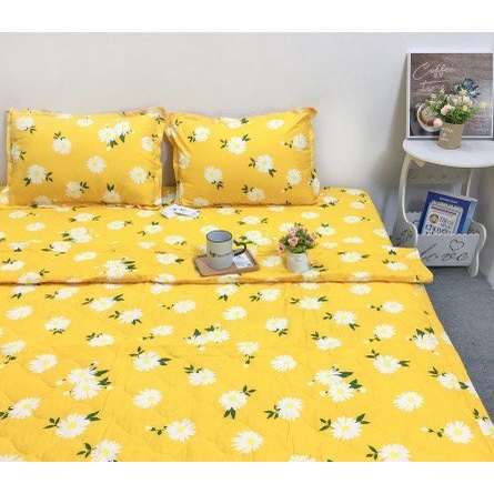 Bộ  ga gối poly cotton kích thước 1m4,1m5,1m6 chọn mẫu trong bài