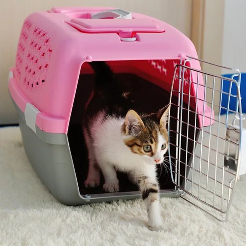 (Size lớn) -Lồng hàng không size 3+4– lồng vận chuyển chó mèo đi máy bao hoặc tàu xe dog cage