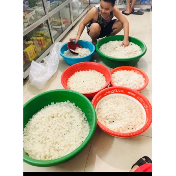 Hạt đác tươi to đại bự