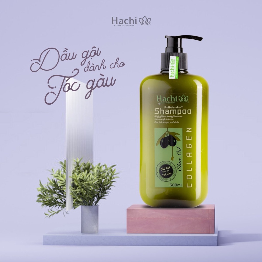 Dầu gội dành cho tóc gàu chiết xuất OLIVE - Hachi Việt Nam Anti-dandruff