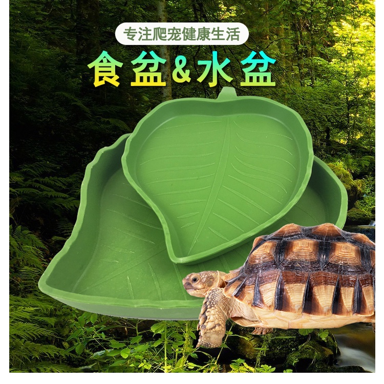 Đĩa đựng thức ăn cho rùa, bò sát , thú cưng, đĩa cho tép ăn - khay đựng thức ăn cho bò sát -shopleo - phụ kiện thủy sinh