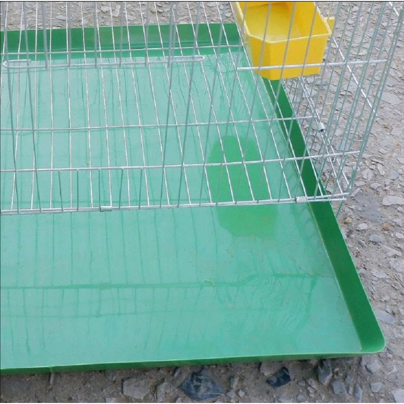 Khay hứng phân 60x50cm bằng nhựa