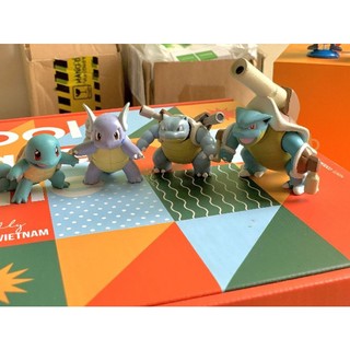 [Tổng hợp] Squirtle Evolution Collection