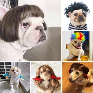 ♫Tóc Giả Cho Chó Thú Cưng Vui Nhộn Bộ Tóc Hóa Trang Chó Mèo Đeo Chéo Đồ Dùng Chụp Ảnh   Khăm Thú Cưng Trang Phục Lễ Hội Tóc Giả Cho Chó Đồ Dùng Cho Thú Cưng 2023