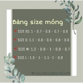 nailbox thiết kế nơ - size và form ib