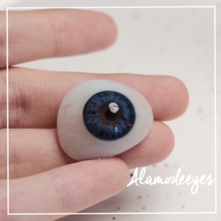 Lens xám xanh [Full cận]