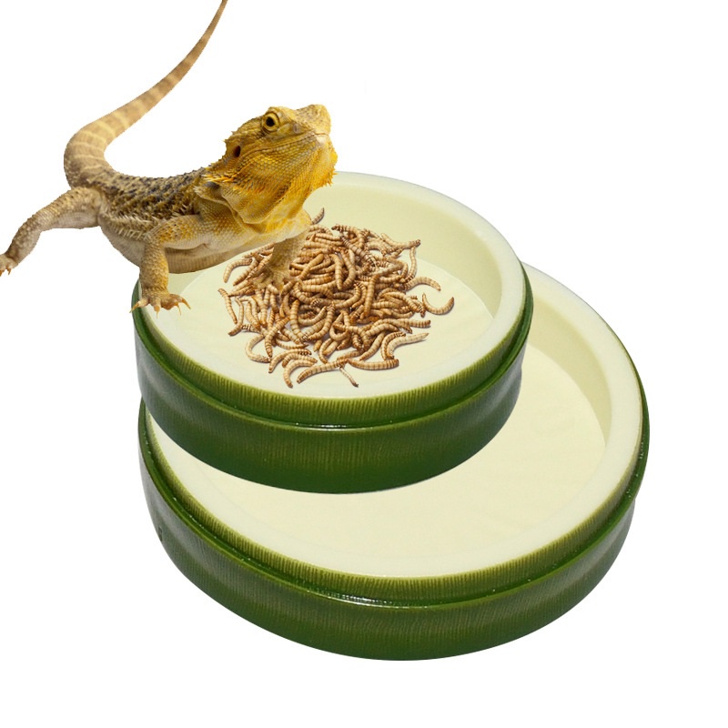 Đĩa đựng thức ăn cho rùa, bò sát , thú cưng, đĩa cho tép ăn - khay đựng thức ăn cho bò sát -shopleo - phụ kiện thủy sinh