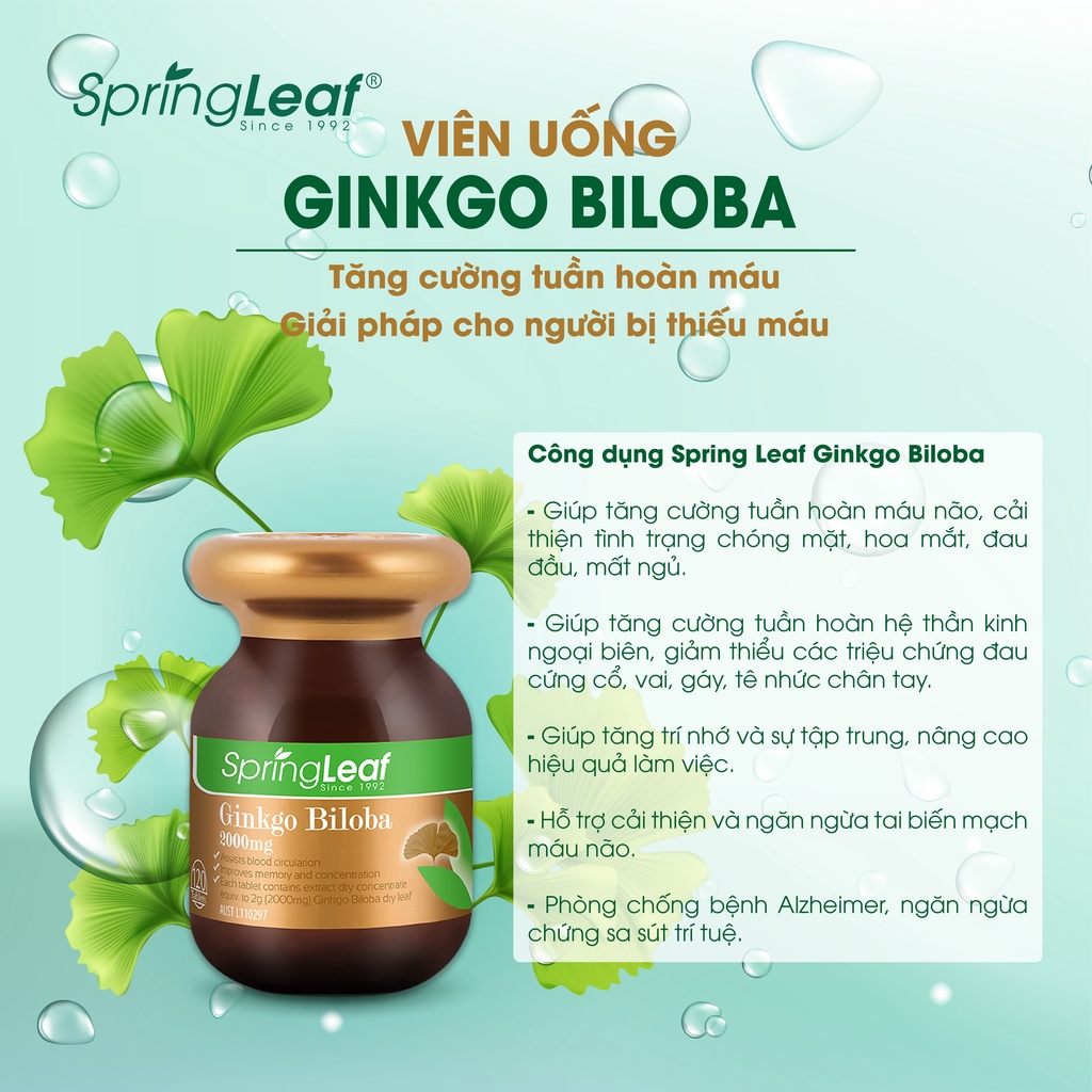 Viên uống Ginkgo Biloba Spring Leaf  2000mg hỗ trợ cải thiện tuần hoàn máu não  120 viên Úc
