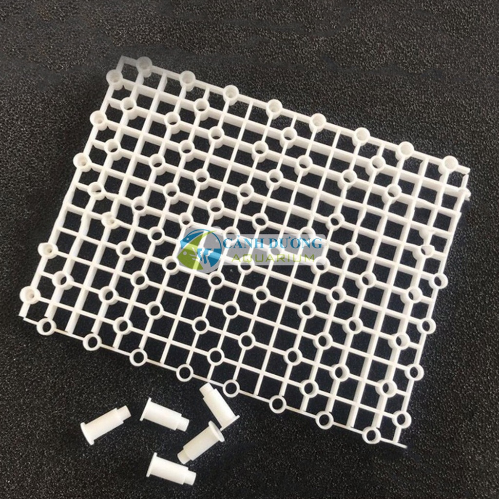 Vỉ nhựa đa năng làm vĩ lọc đáy hồ cá, nắp hồ, vách ngăn, tường rêu 20x26cm