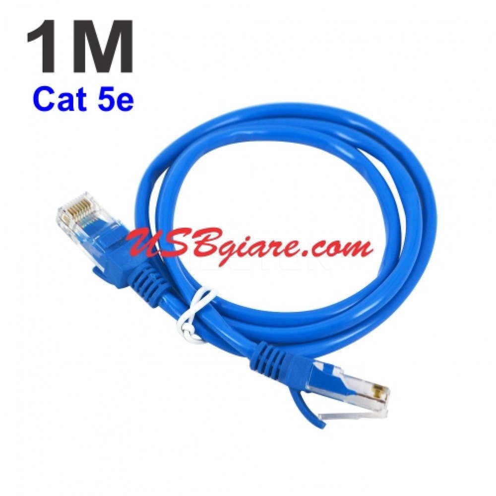 CÁP MẠNG 1M 10/100MBPS CAT 5E