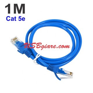 Cáp mạng 1m 10/100mbps cat 5e
