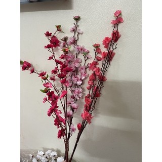 hoa a đào rẻ thanh lý