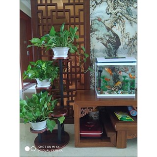 Kệ để chậu hoa cây cảnh B148