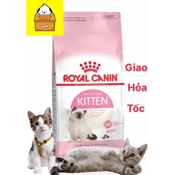 ROYAL CANIN Kitten Cho Mèo Con Túi 1kg