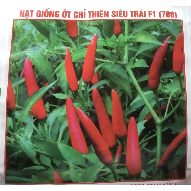 ☘ HẠT GIỐNG ỚT CHỈ THIÊN