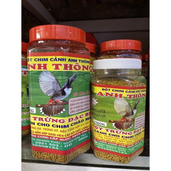 Cám Chào Mào Anh Thông