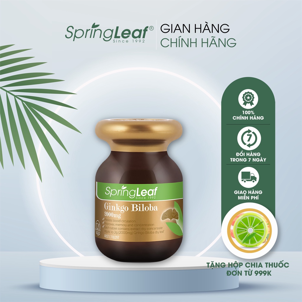 Viên uống Ginkgo Biloba Spring Leaf  2000mg hỗ trợ cải thiện tuần hoàn máu não  120 viên Úc