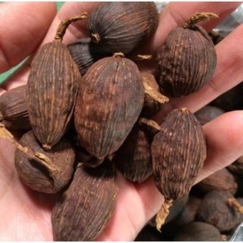 Thảo Quả Khô Tây Bắc