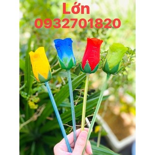 50 cây Bông lớn làm show, đám tiệc,sân khấu