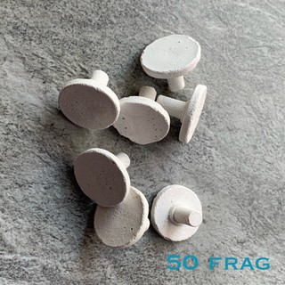 Đế Frag san hô
