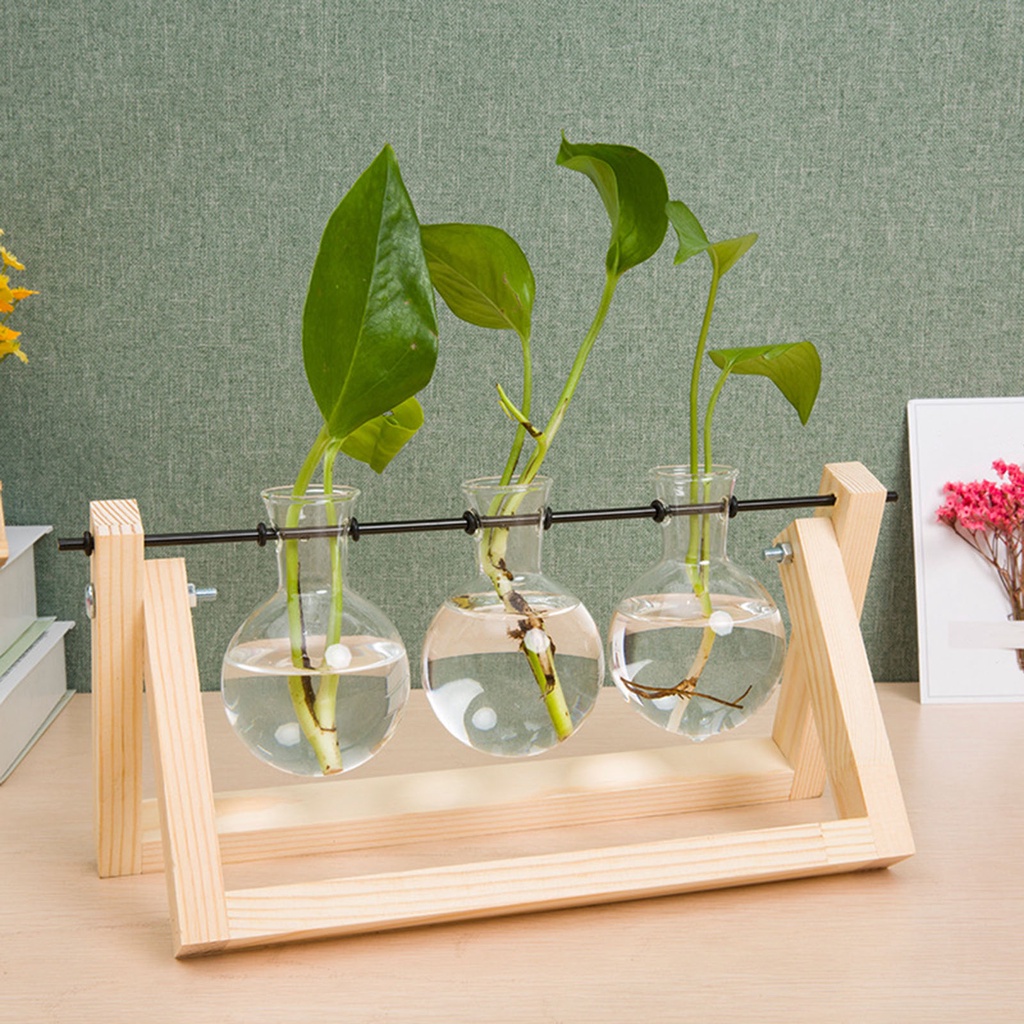 Set lọ thủy tinh trồng cây thủy canh kèm,Bóng Đèn Bình Hoa Đứng Nồi Terrarium Bằng Gỗ,đế gỗ trang trí bàn làm việc