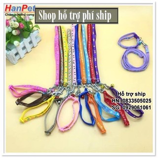Hỗ trợ Ship- Dây dắt chó mèo dưới 5kg + kèm vòng cổ nhỏ xinh (sunzin 344)