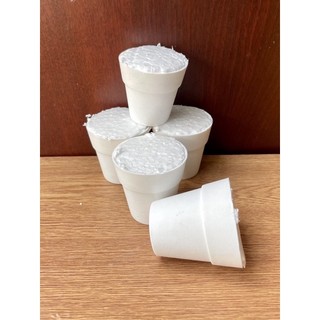 Chậu cây nhựa mini, chậu cây mini