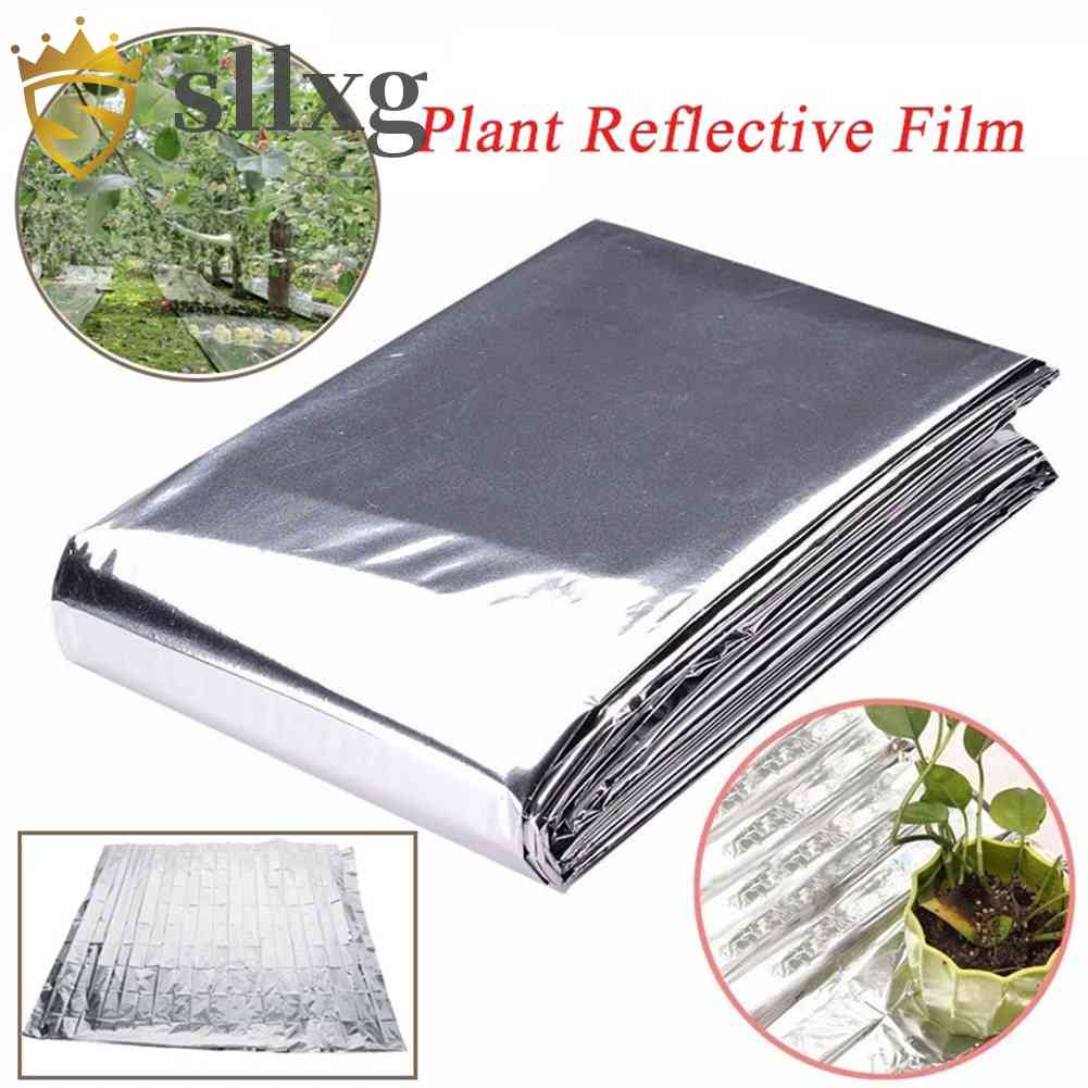 Tấm Phim Phản Quang 210x120cm Phủ Cây Trồng Trong Nhà Kính