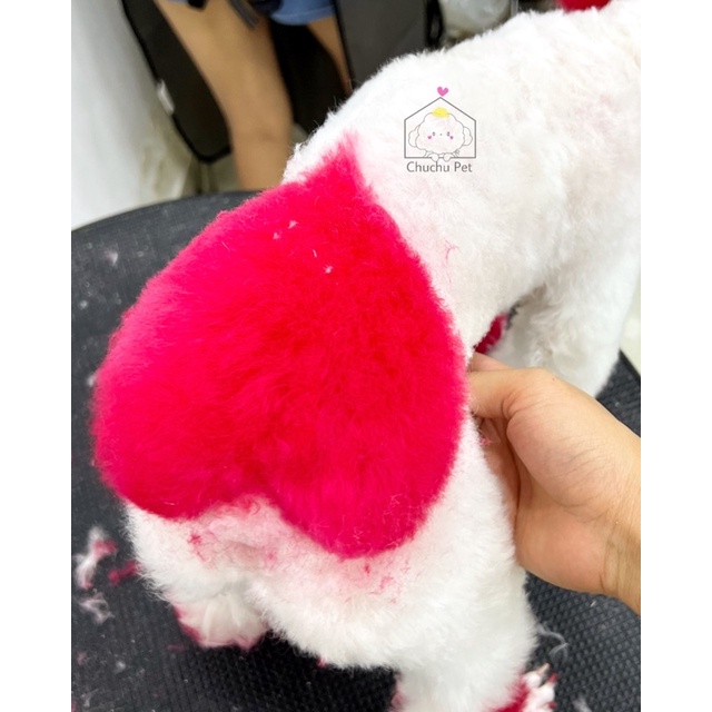 Màu nhuộm thú cưng Blooklyn-ChuChu Pet