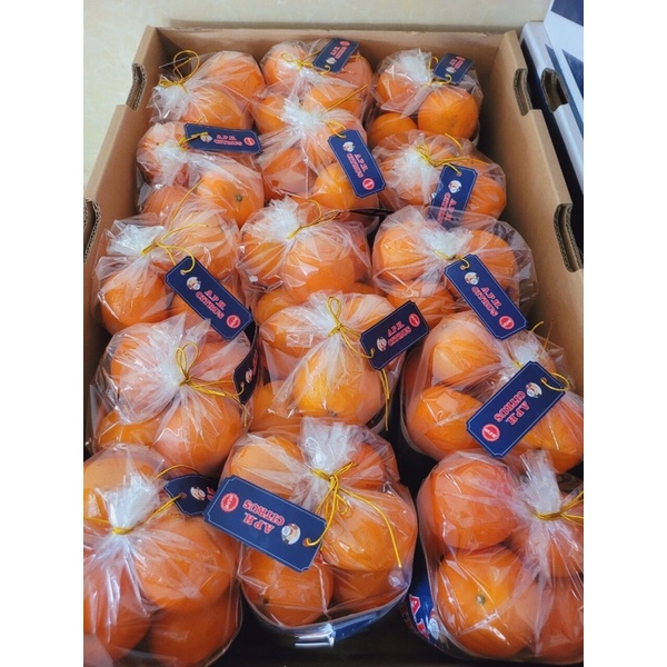 🍊🍊QUÝT A.P.H Citrus 🍊🍊