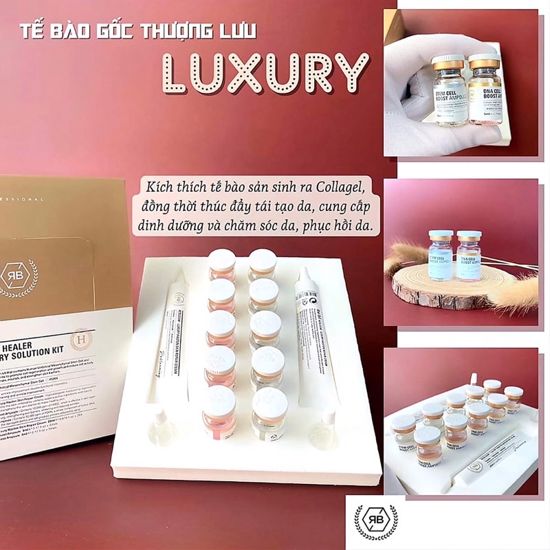 Bộ Tế Bào Gốc RE:BL Healer Luxury Solution Kit