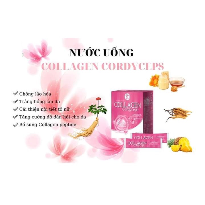 Nước uống trắng da giảm nám Collagen Cordyceps - Sản phẩm viện hàn lâm KHCN VN dạng siro 20 gói