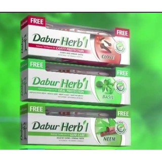 [KÈM BÀN CHẢI]Bộ 3 kem đánh răng dabur đinh hương, húng quế, neem