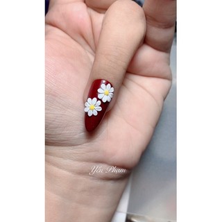 Set 2 Hoa cúc trang trí móng nail