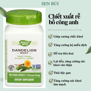 Viên uống rễ bồ công anh Nature’s Way Dandelion Root 100v
