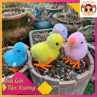 Gà con đồ chơi gà con vặn cót gà con đồ chơi chạy bằng cót đồ chơi vui nhộn dành cho bé giá tận xưởng giá sỉ