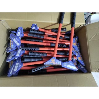 cây sủi tường,sủi thạch cao,sủi bột