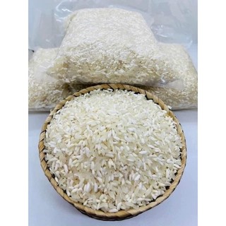 Nếp nương điện biên loại 1