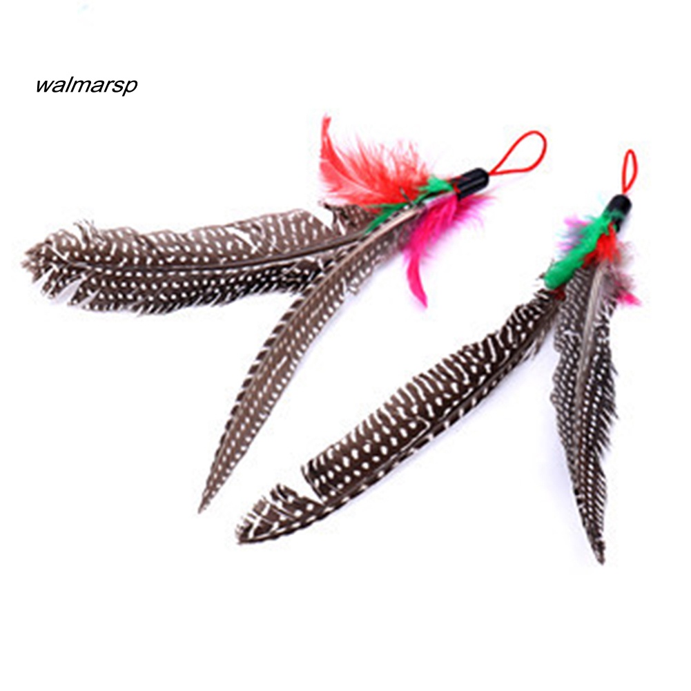 Gậy Lông Vũ Gắn Chuông Thay Thế Đồ Chơi Tương Tác Cho Mèo