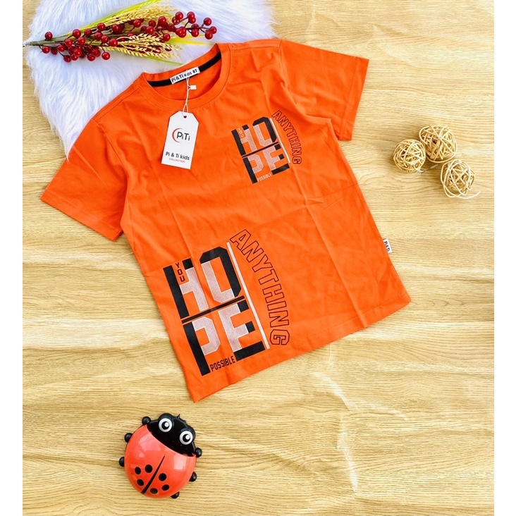 🐸  Áo thun cotton hàng shop bé trai 25-45kg