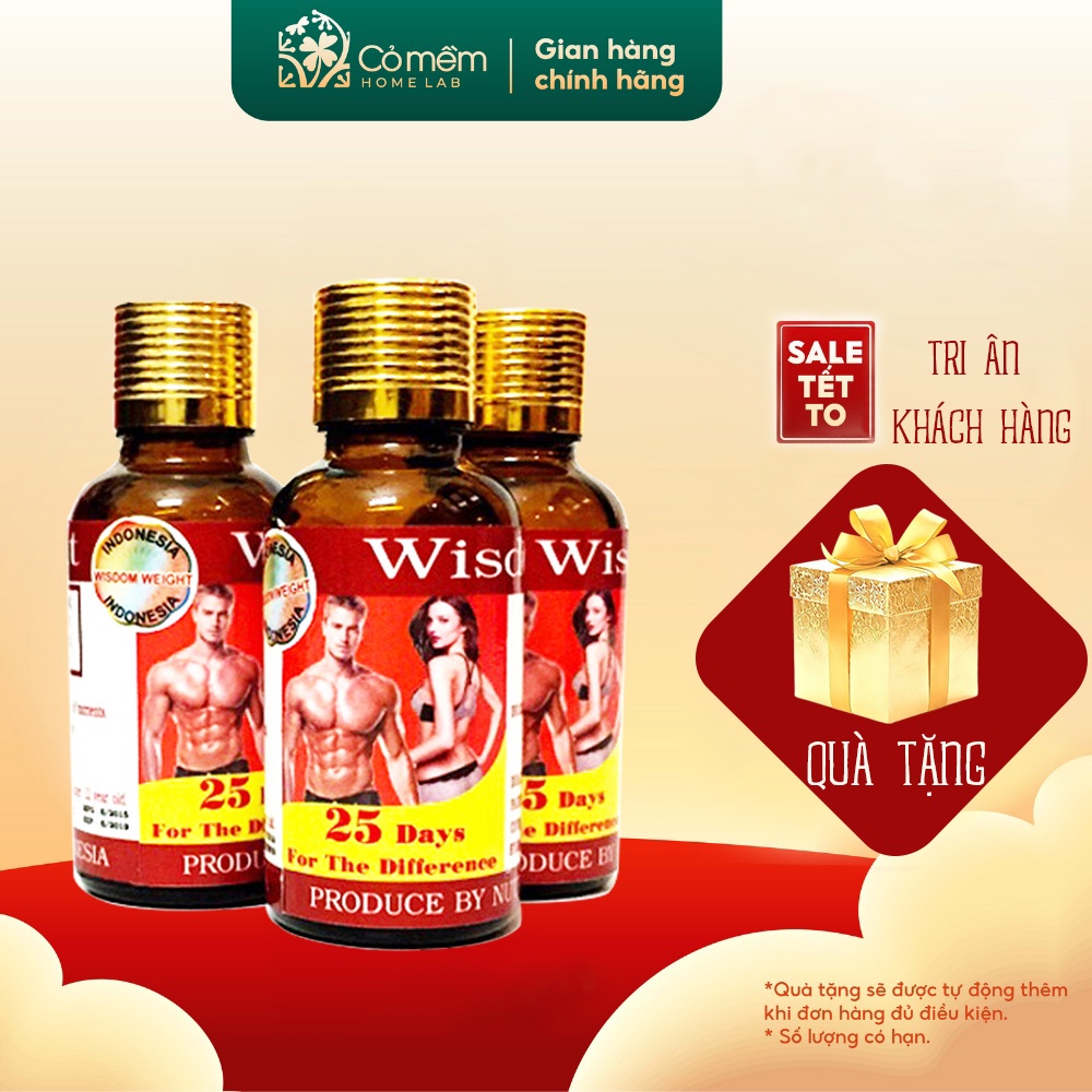 Vitamin Tăng Cân Dành Cho Người Gầy, Viên Uống Tăng Cân Wisdom Chính Hãng Indonesia ( Nhập Khẩu Chính Hãng )