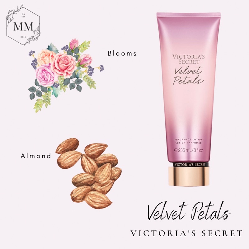 - Bộ sản phẩm Xịt Thơm Toàn Thân Victoria’s Secret Body Mist Dưỡng Thể Lotion mùi Velvet Petals 250ml