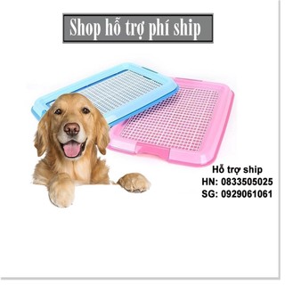 HN- Khay vệ sinh cho chó lớn và nhỏ (2 size màu ngẫu nhiên) - Tặng 3 tấm tã giấy -khay đi vệ sinh cho chó đực và chó cái