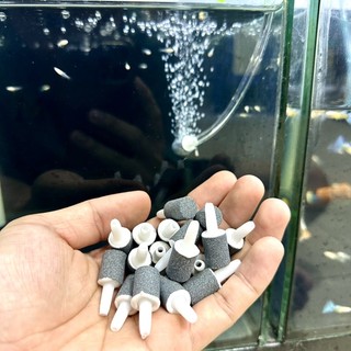 Viên sủi oxi siêu mịn - sủi oxy taiwan - mini