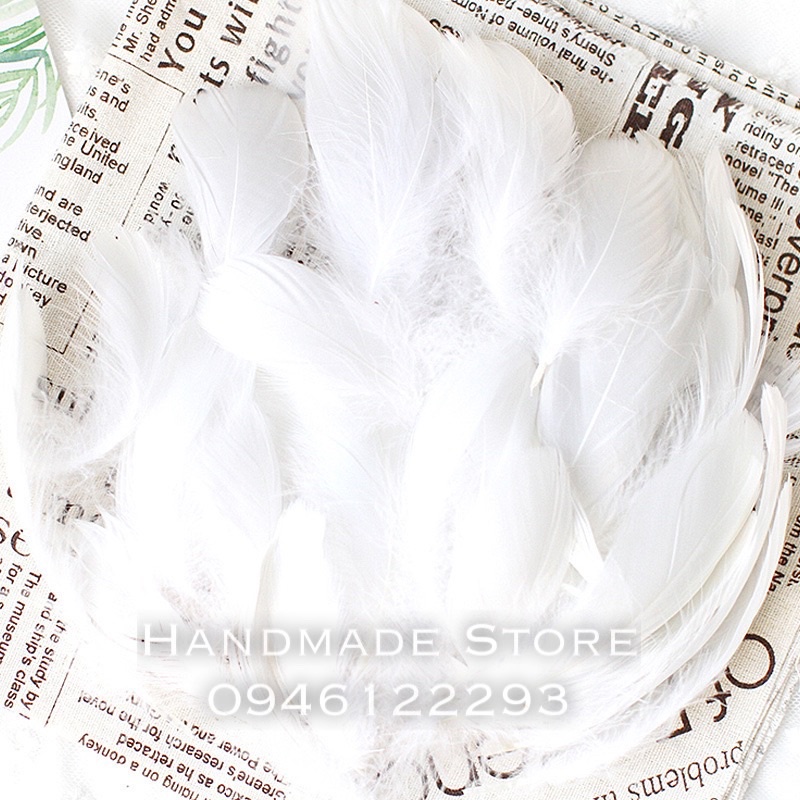 Lông vũ nhiều màu  🌈🌈🌈🌈