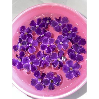 Cây hoa chuỗi ngọc tím đậm